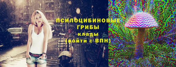 сатива Аксай