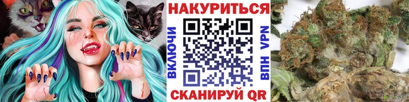 Конопля гибрид  купить  сайты  Полярный 